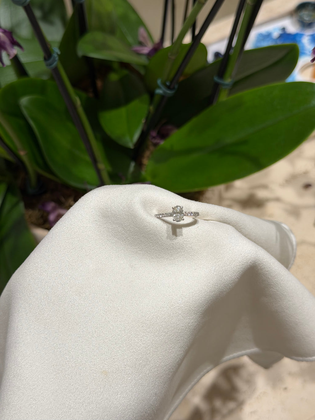 Anel Clarté diamante Oval 0.70 pontos