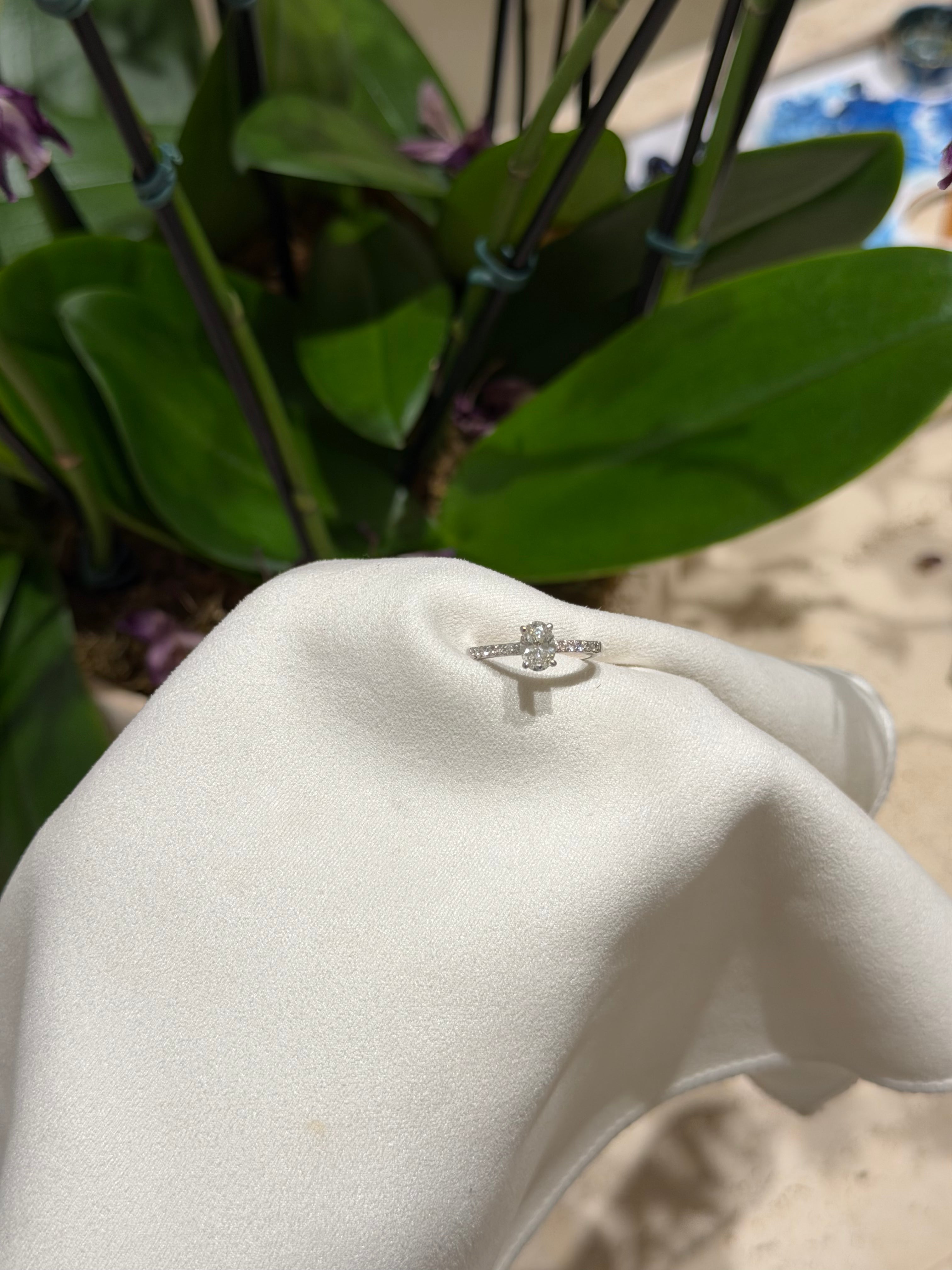 Anel Clarté diamante Oval 0.70 pontos
