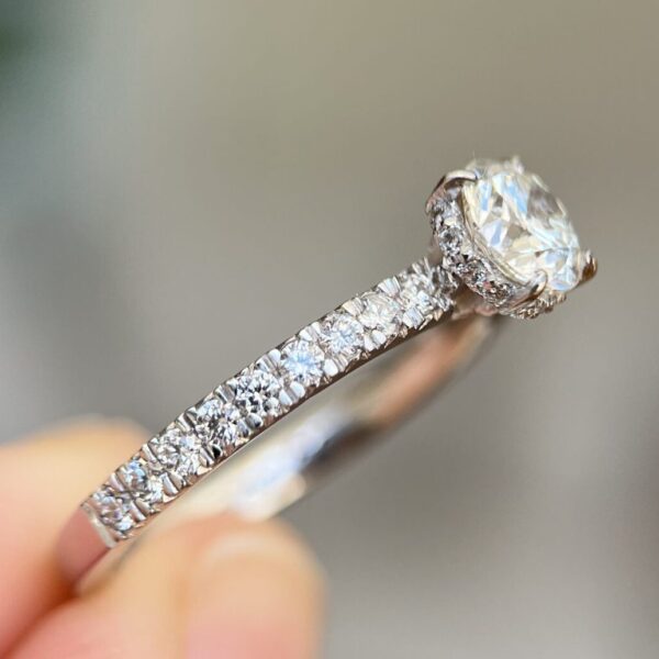 Anel Jardin des Étoiles